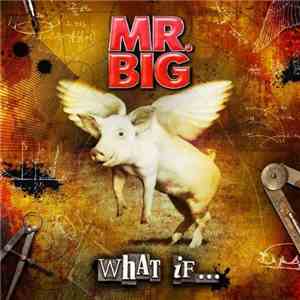 Mr. Big - What If...