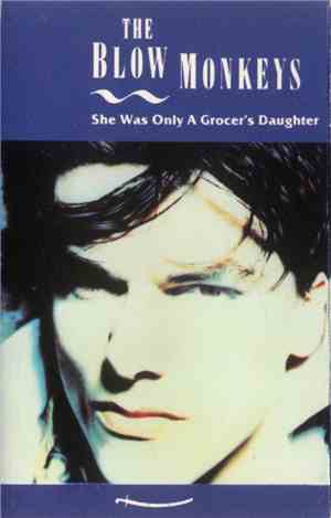 The Blow Monkeys - She Was Only A Grocer's Daughter