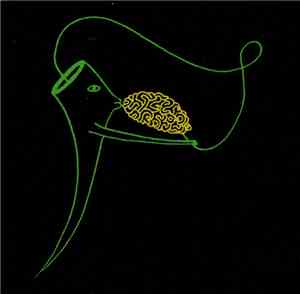 Lina Allemano's Titanium Riot - Kiss the Brain