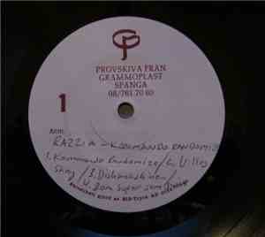 Razzia  - Kommando Randomize