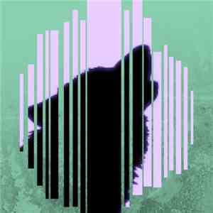 Silent In The Forest - Silent In The Forest
