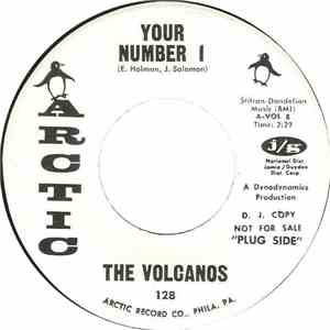 The Volcanos  - You're Number 1