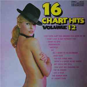 Unknown Artist - 16 Chart Hits Volume 12