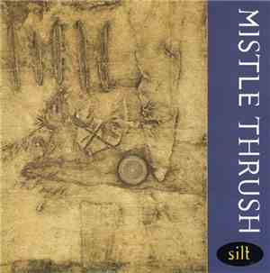 Mistle Thrush - Silt