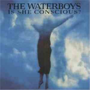 The Waterboys - Is She Conscious ?