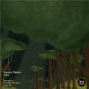 Marcelo Paladini - Hair