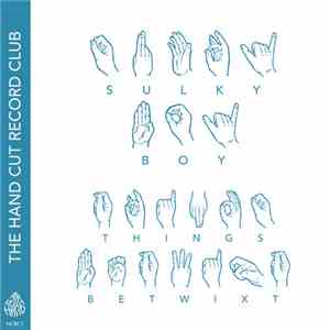 Sulky Boy - Things Betwixt