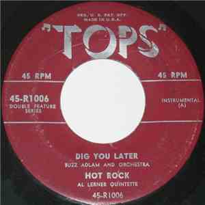 Various - Dig You Later