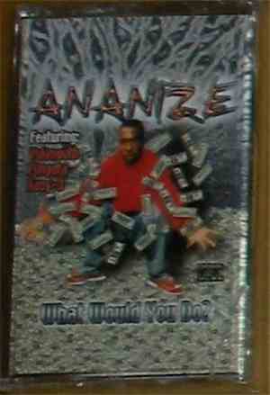 Ananize - What Would You Do?