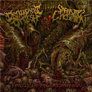 Disfigurement Of Flesh, Parasitic Ejaculation - Intracellular Impious Metam ...