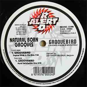 Natural Born Grooves - Groovebird