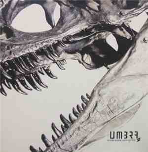 Boom Boom Satellites - Umbra