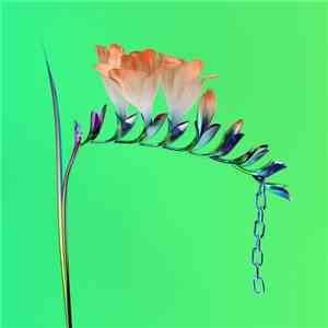 Flume - Skin Companion EP I