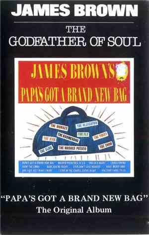James Brown - Papa's Got A Brand New Bag