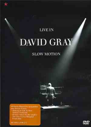 David Gray - Live In Slow Motion