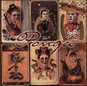 Ponga - Ponga