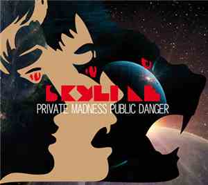 Skyline  - Private Madness Public Danger