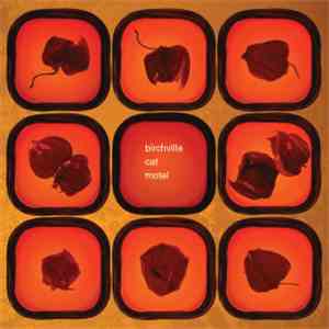 Birchville Cat Motel - Summer's Seething Pulse