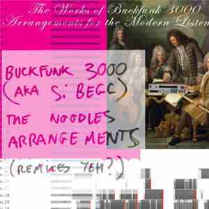 Si Begg Presents Buckfunk 3000 - The Noodles Arrangements