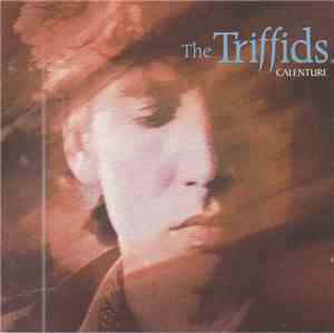 The Triffids - Calenture