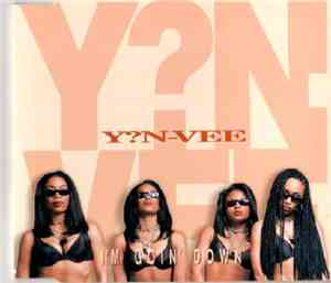 Y?N-Vee - I'm Goin' Down
