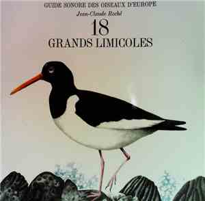 Jean-Claude Roché - Grands Limicoles