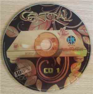 Various - Central 100 %