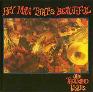 One Thousand Violins - Hey Man That's Beautiful