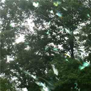 teeth made of glass - an important phrase repeated a few times for good mea ...