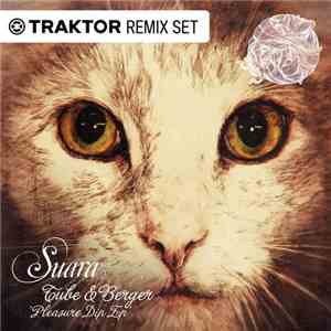 Tube & Berger - Pleasure Dip Ep - Traktor Remix Set