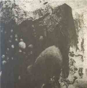 Witchrist / Antediluvian - The Burning Reprieve  / Shifting Transcendental: ...