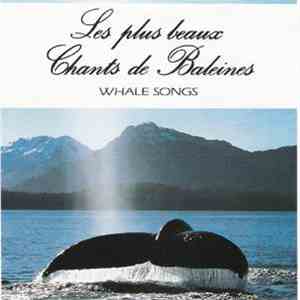 No Artist - Les Plus Beaux Chants De Baleines / Whale Songs