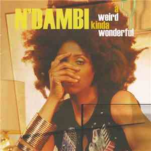 N'Dambi - A Weird Kinda Wonderful