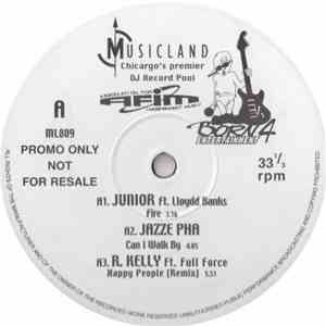 Various - Musicland 809