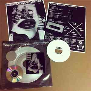 Future Blondes - Vanish 2013