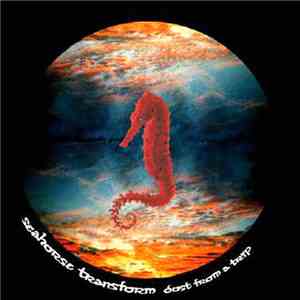 Seahorse Transform - Dust From A Trip