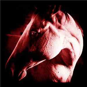 Brother Dege - How To Kill A Horse
