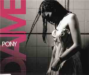 Dame  - Pony