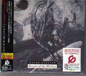 David Sylvian - Secrets Of The Beehive