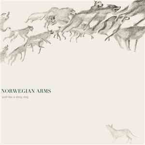Norwegian Arms - Wolf Like A Stray Dog