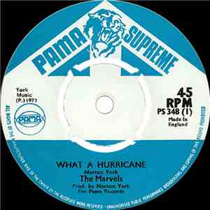 The Marvels - What A Hurricane