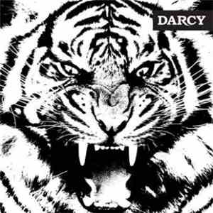 Darcy - Tigre