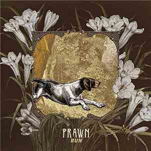 Prawn - North Lynx