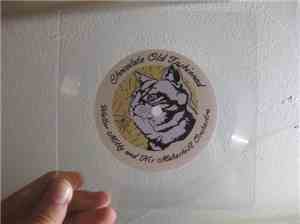 Walter Mitty And His Makeshift Orchestra, Peach Kelli Pop - Split