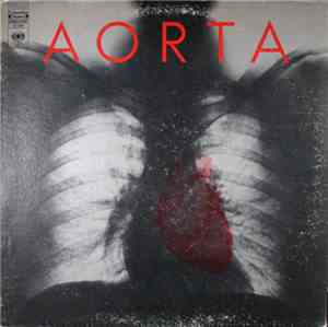Aorta - Aorta