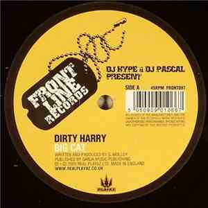 Dirty Harry  - Big Cat / Meat Bubbles