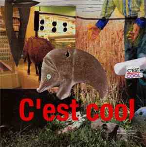 Manuel J. Grotesque - C'est Cool