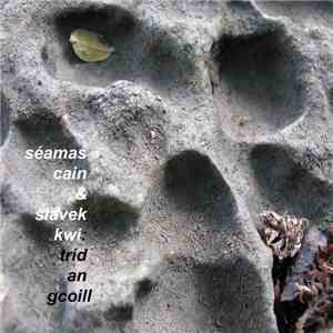 Séamas Cain & Slavek Kwi - Tríd An Gcoill