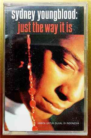 Sydney Youngblood - Just The Way It Is