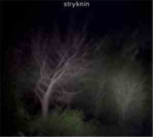 Stryknin - Transparens